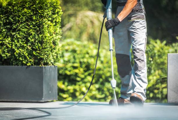Best Sidewalk and Walkway Cleaning  in Lockwood, MO